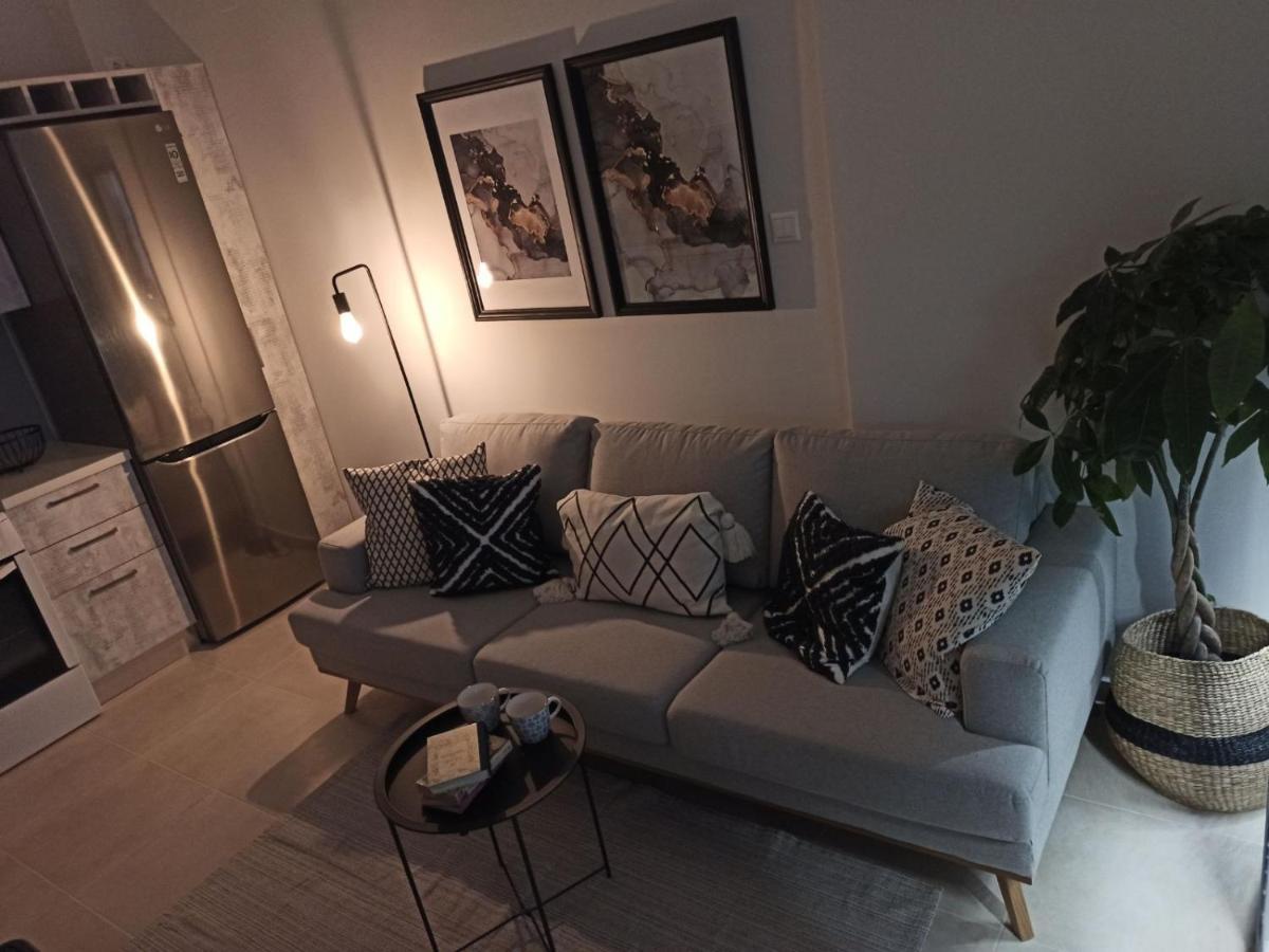 Stylish Ground Floor Maisonette Volos Eksteriør bilde